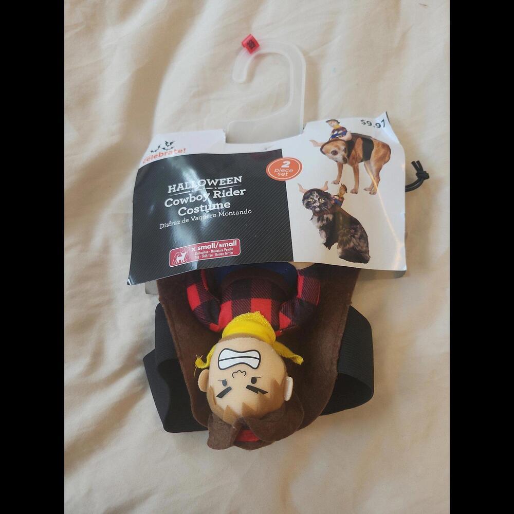 Cowboy‎ Rider halloween costume